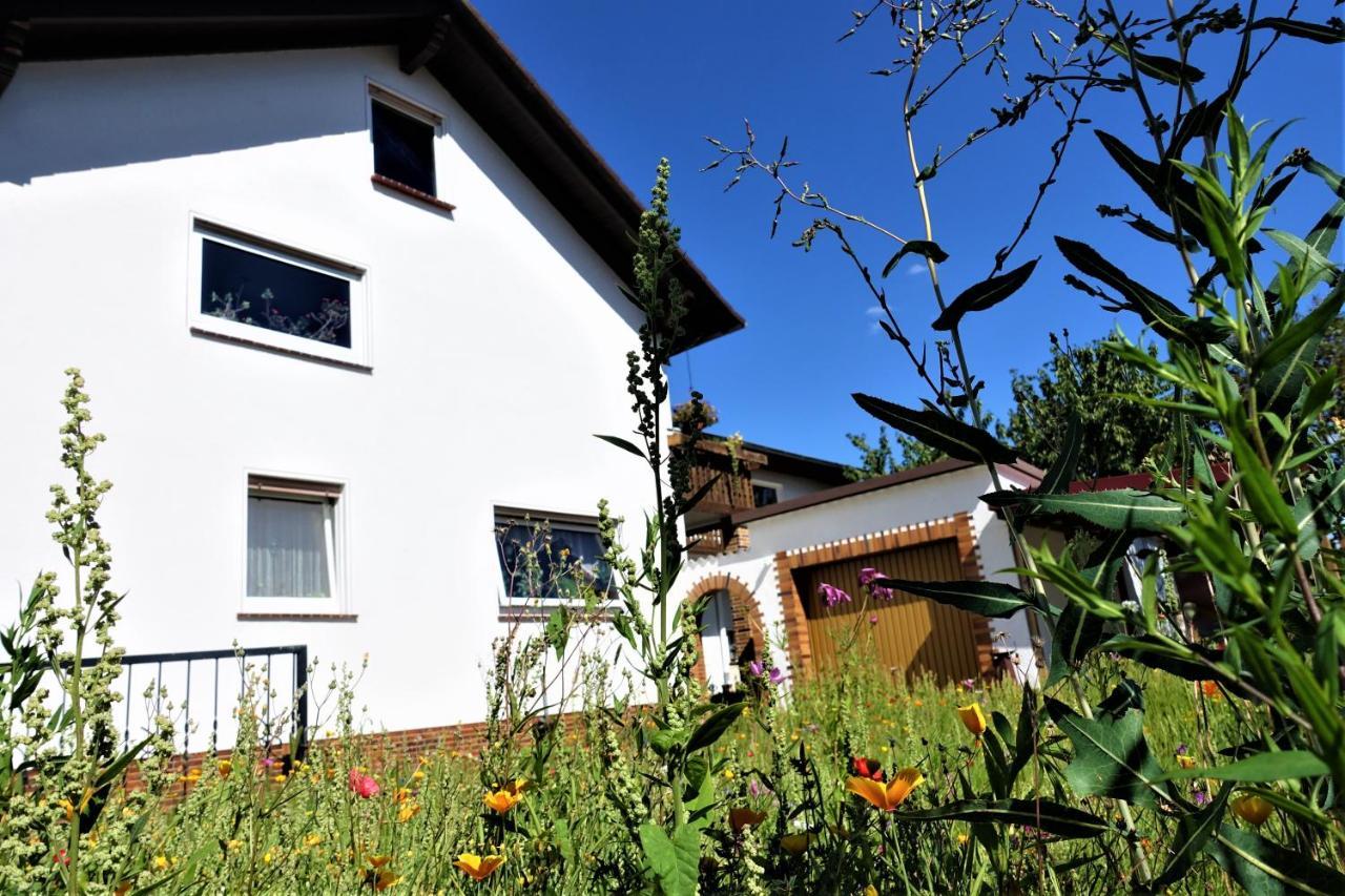 Ferienwohnung-M8 Im Schoenen Werratal Jestadt المظهر الخارجي الصورة